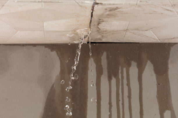 Professional Burst Pipe Cleanup technician working in Detroit, AL